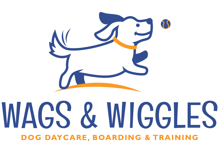 6 Ways to Calm Your Reactive Dog - Wags & Wiggles