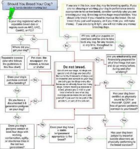 Dog Breed Flow Chart