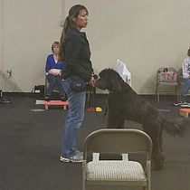 Jenn Wong - Rancho Santa Margarita Dog Trainer