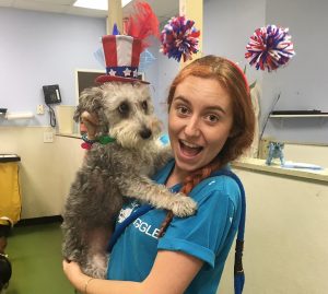 Keep Your Dog Safe on July Fourth - Wags & Wiggles Tustin and Rancho Santa Margarita, CA