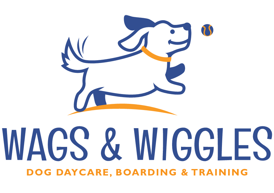 wags daycare