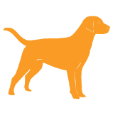 Orange County Dog Training, Daycare, & Boarding | Wags & Wiggles