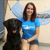 Wags & Wiggles Dog Daycare Management Team