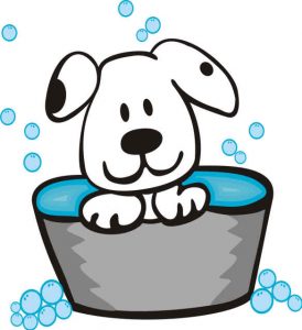 pet bathing services