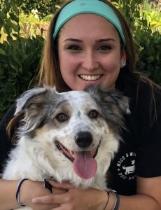 Wags & Wiggles Certified Dog Trainer