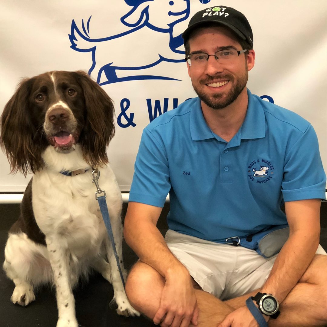 Certified Dog Trainer Meet our Positive Reinforcement
