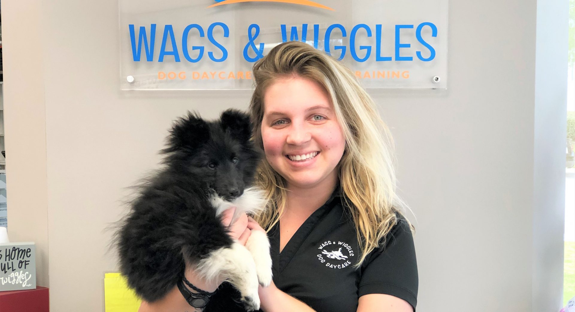 Orange County Dog Training, Daycare, & Boarding Wags & Wiggles