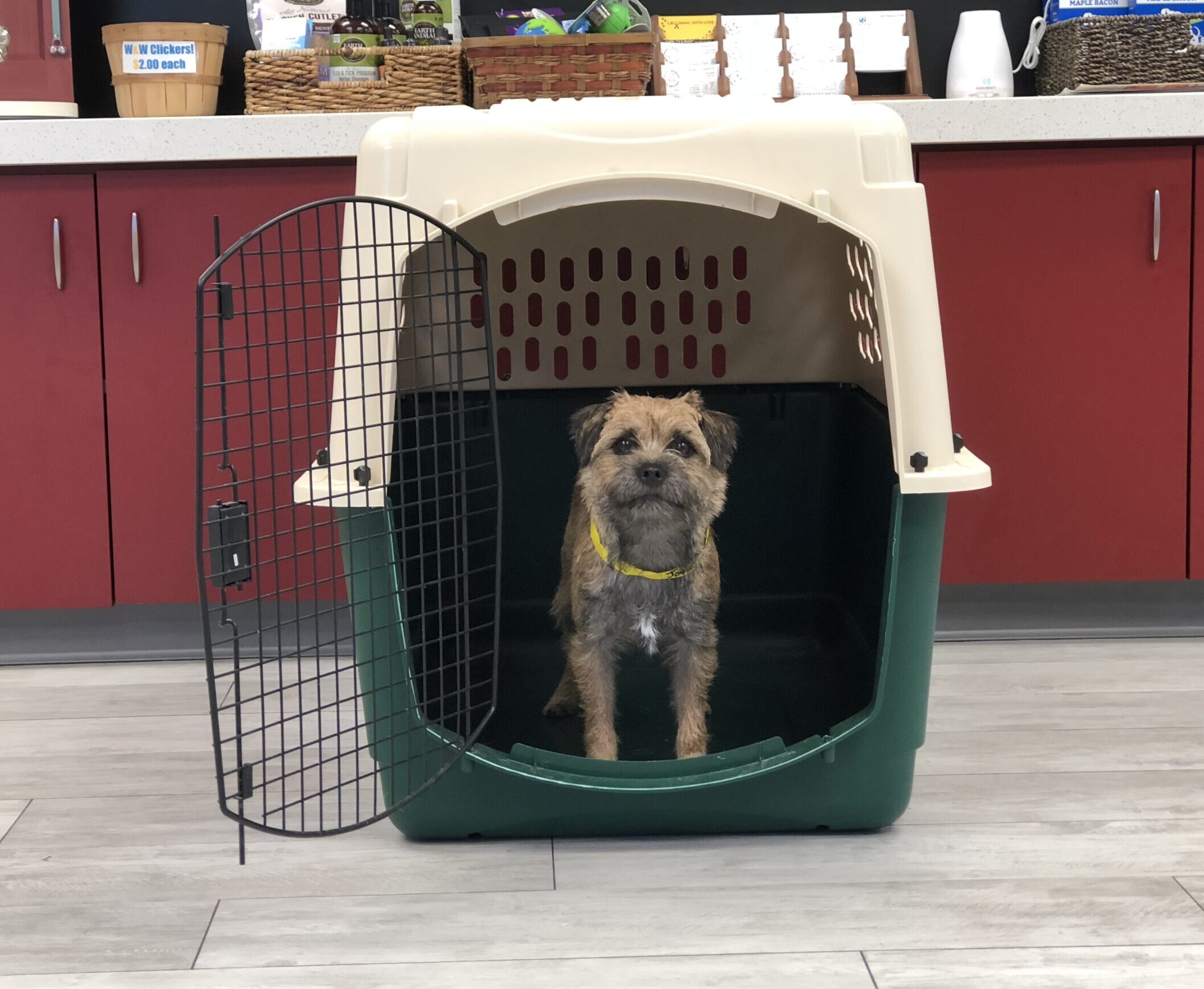 Zen dog clearance crate