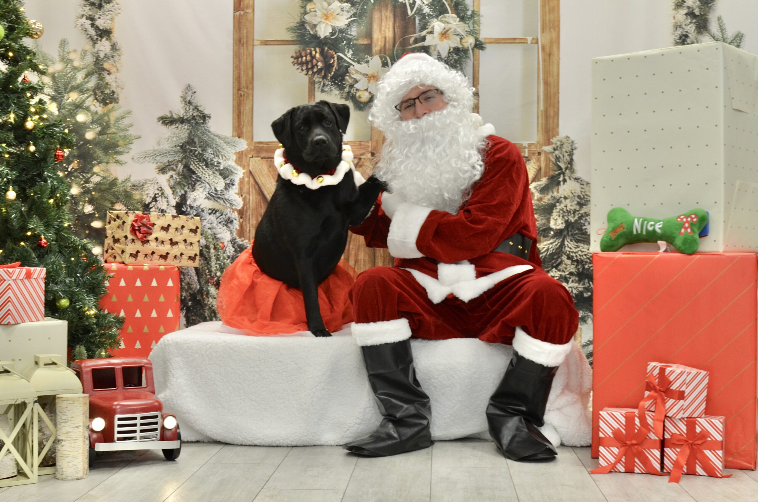 santa photo