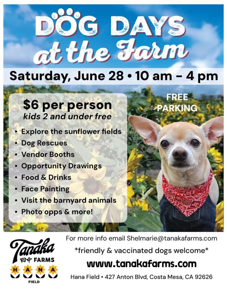 dog days at the farm